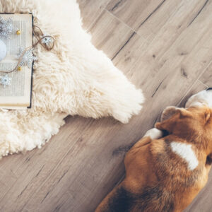 What Area Rugs Protect and Which Ones to Avoid for Your Flooring
